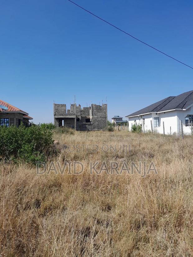 Joska Sunshine 50x100 Plot - thumbnail 6