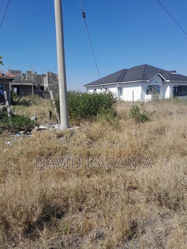 Joska Sunshine 50x100 Plot - thumbnail 8