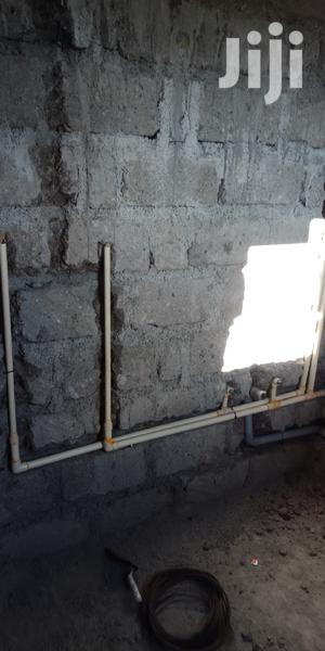 Professional Plumber