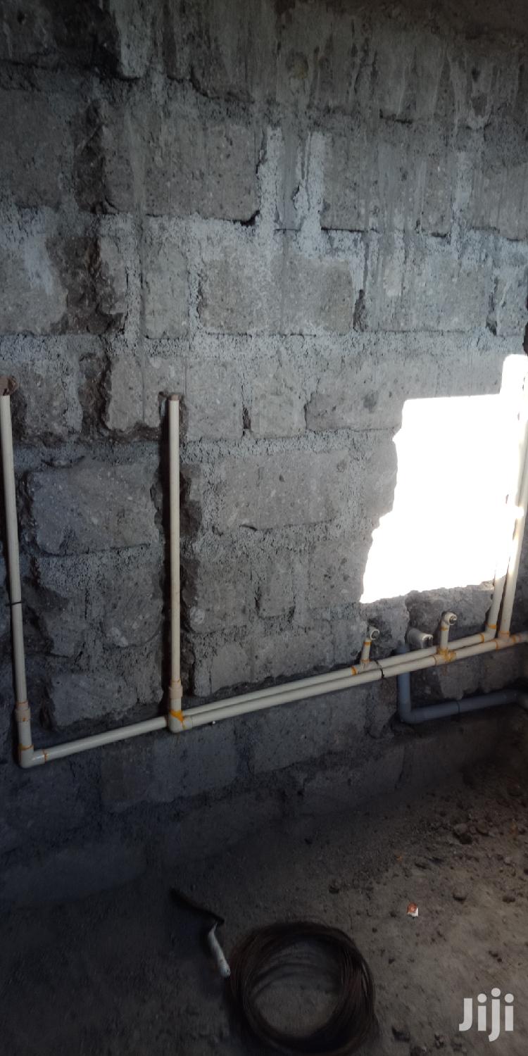Professional Plumber