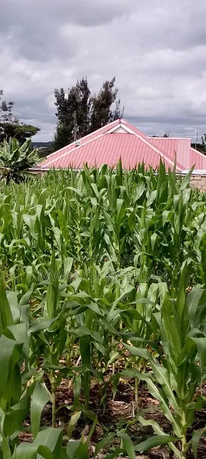 Plot for Sale in Kiserian 300mts From Tarmac