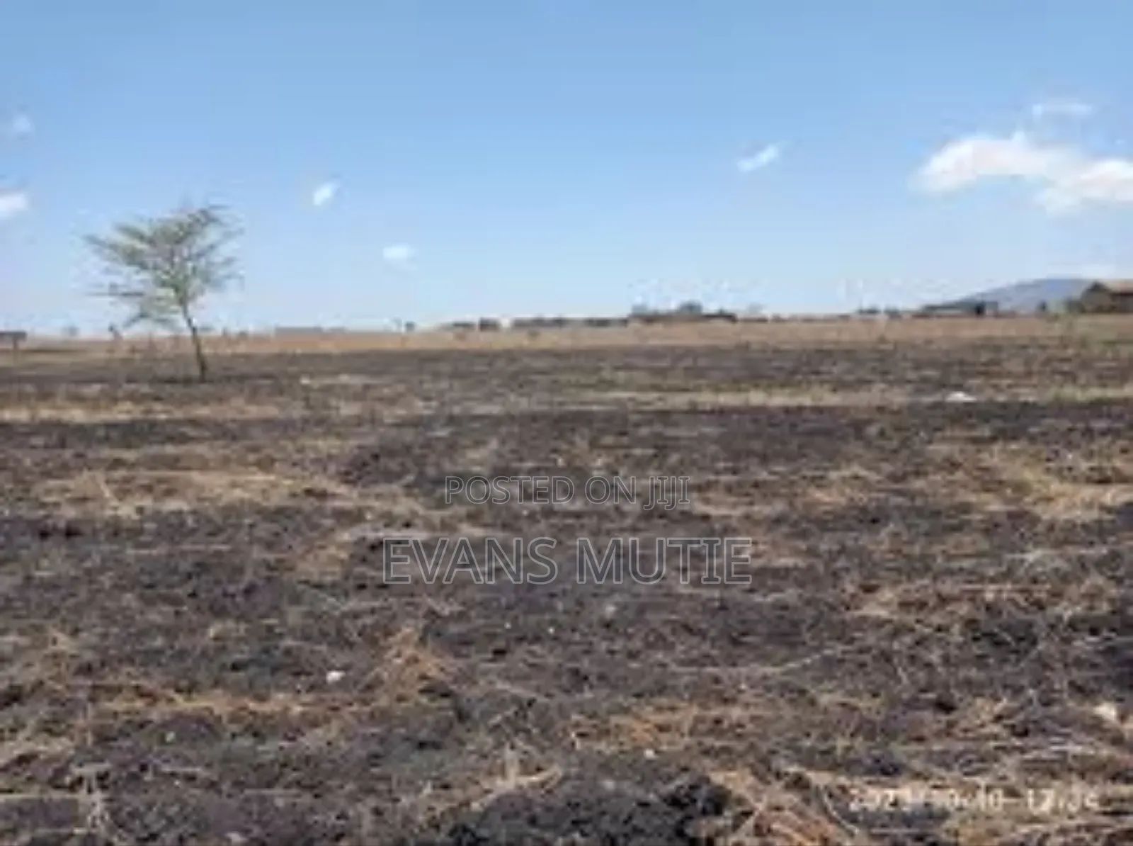 Land for Sale Konza