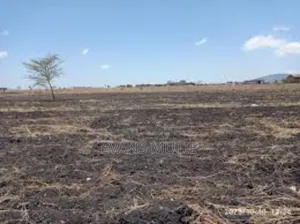 Land for Sale Konza