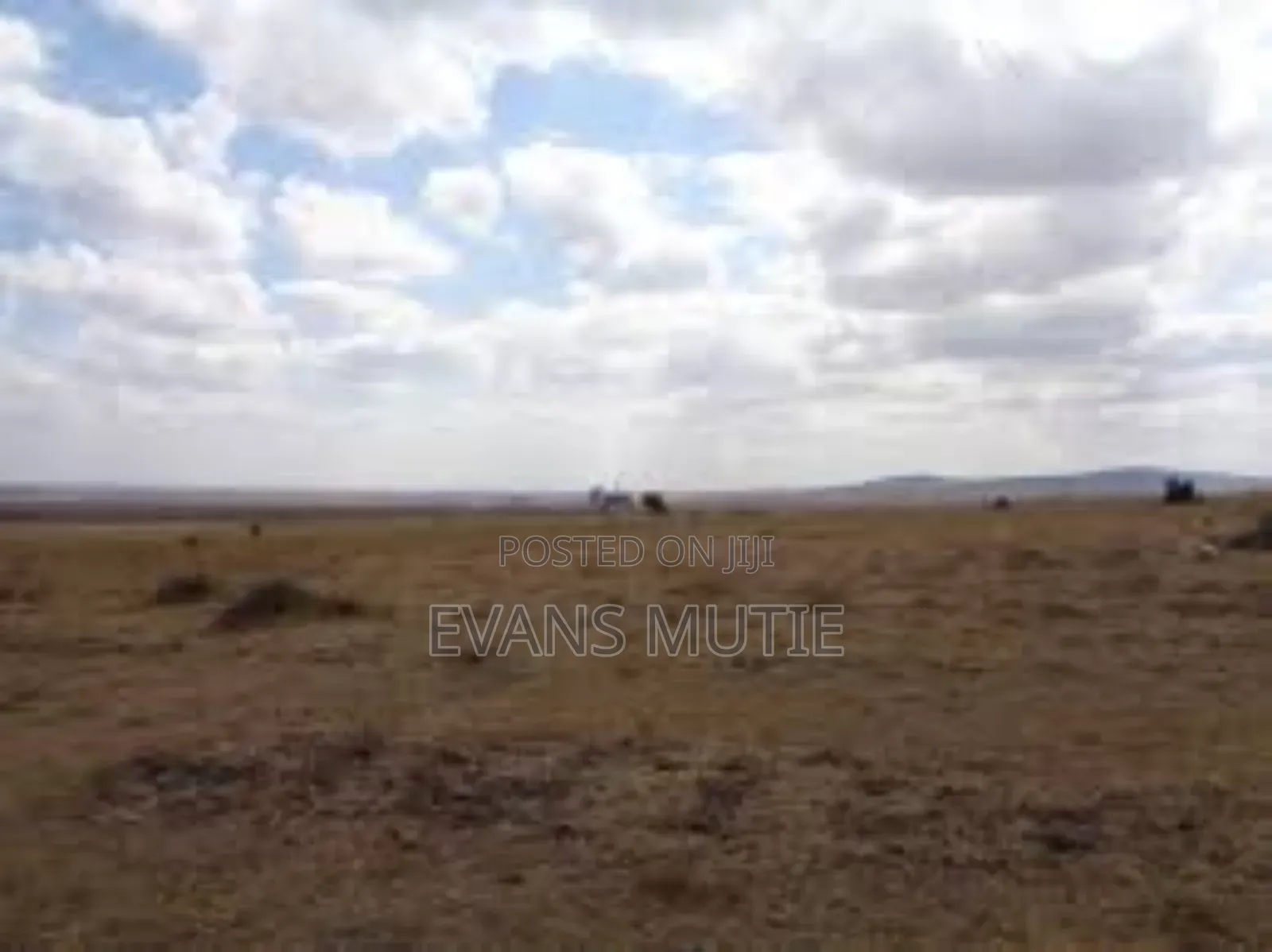 Land for Sale Konza