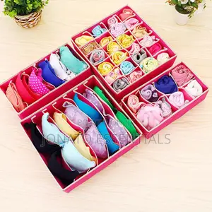 4 in 1 Undergarments Organizer, Bras, Socks, Ties Organizer