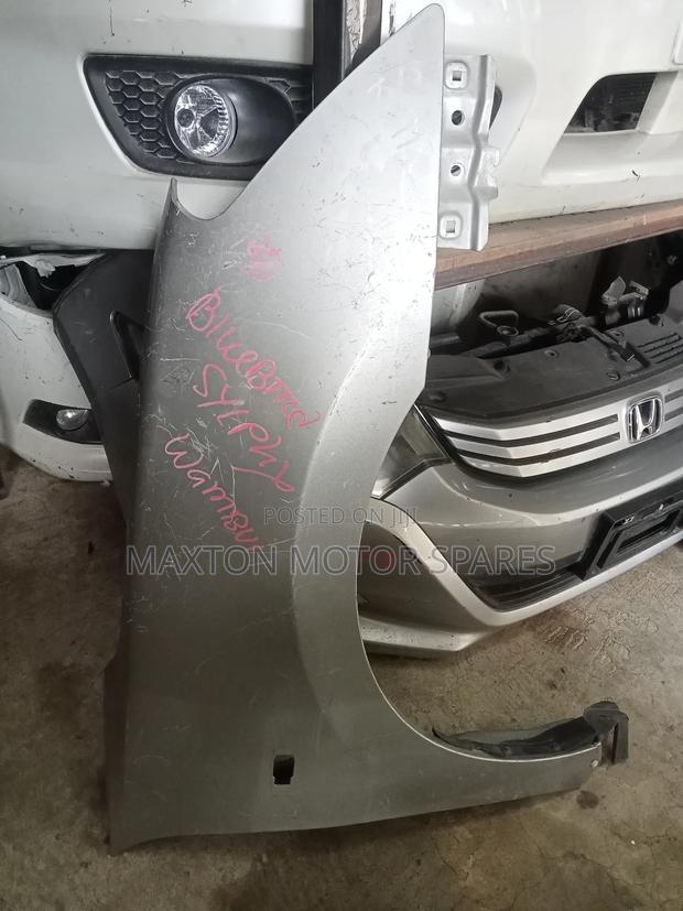 Wing/ N17 Sylphy Fender - main view