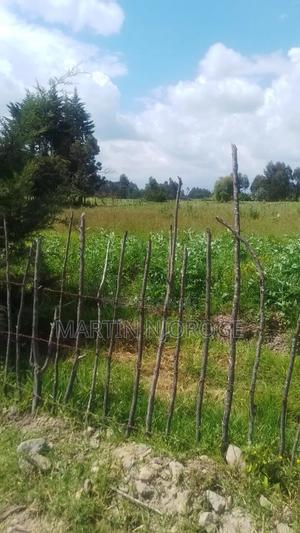 1.5 Acres Ndunyu Njeru - thumbnail 2