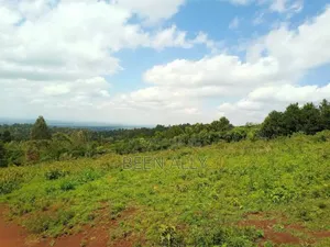 Prime 4-Acre Plot in Kwa Chokwe – 7 Minutes From Kilifi Town