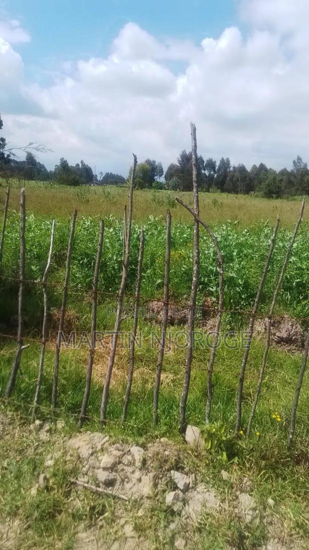 1.5 Acres Ndunyu Njeru - thumbnail 3