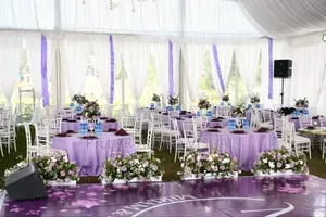 Chameleon Seats/Chairs for Hire/Rentals