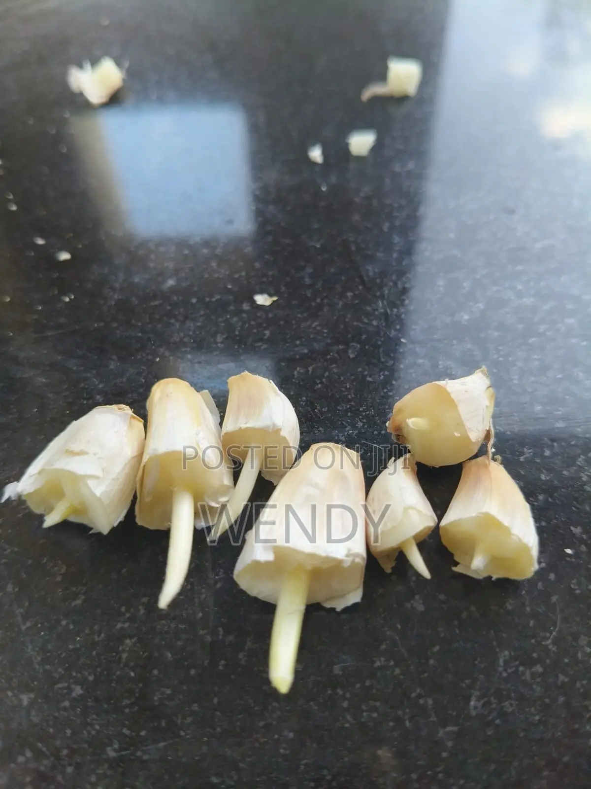 Garlic Seeds