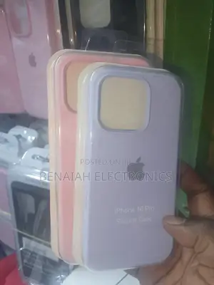iPhone 16 Pro Max Silicone Fashion Case.