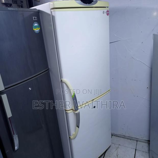 White Bottom Freezer Fridge