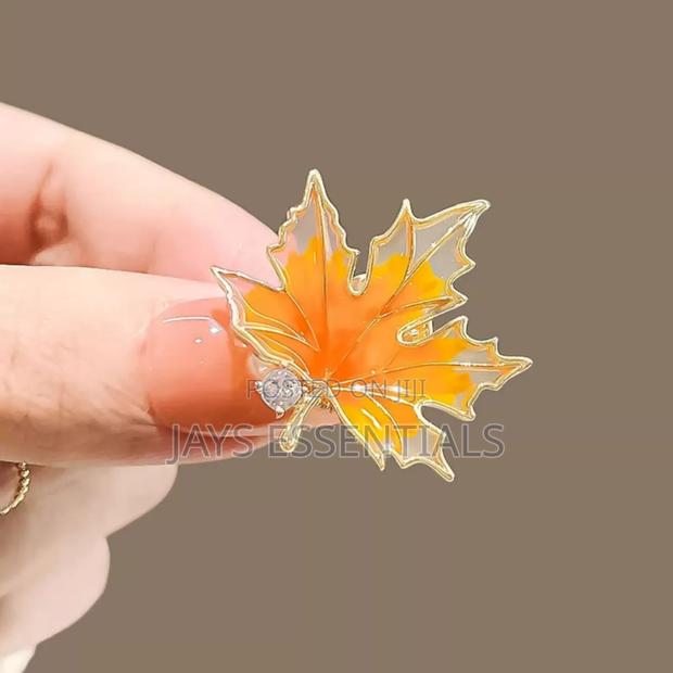 Variety of Unique Brooches - thumbnail 17