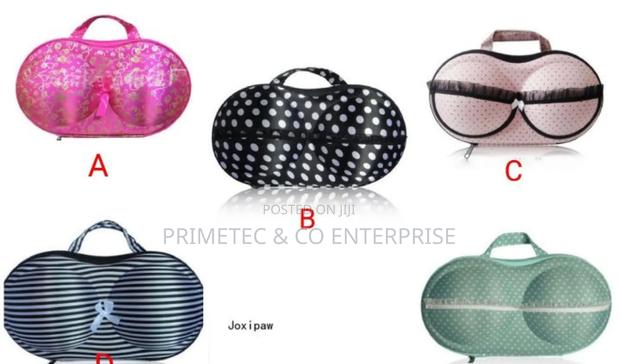 Bra Underwear Lingerie Case / Portable Storage - thumbnail 3