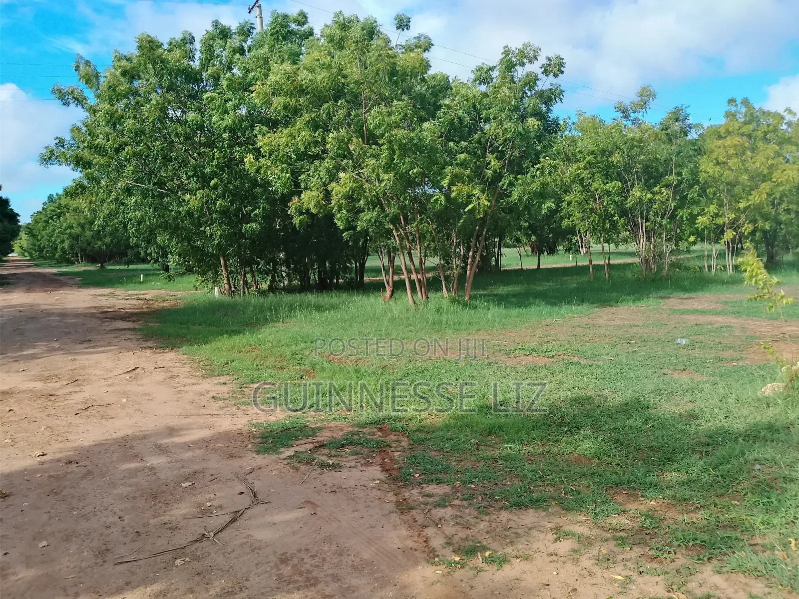 Kuruwitu Vipingo 5 Acres for Sale a Walk Beach
