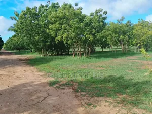 Kuruwitu Vipingo 5 Acres for Sale a Walk Beach