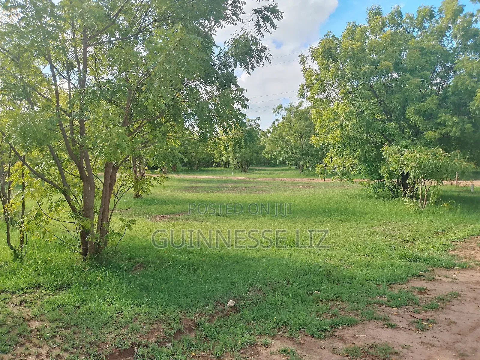 Kuruwitu Vipingo 5 Acres for Sale a Walk Beach
