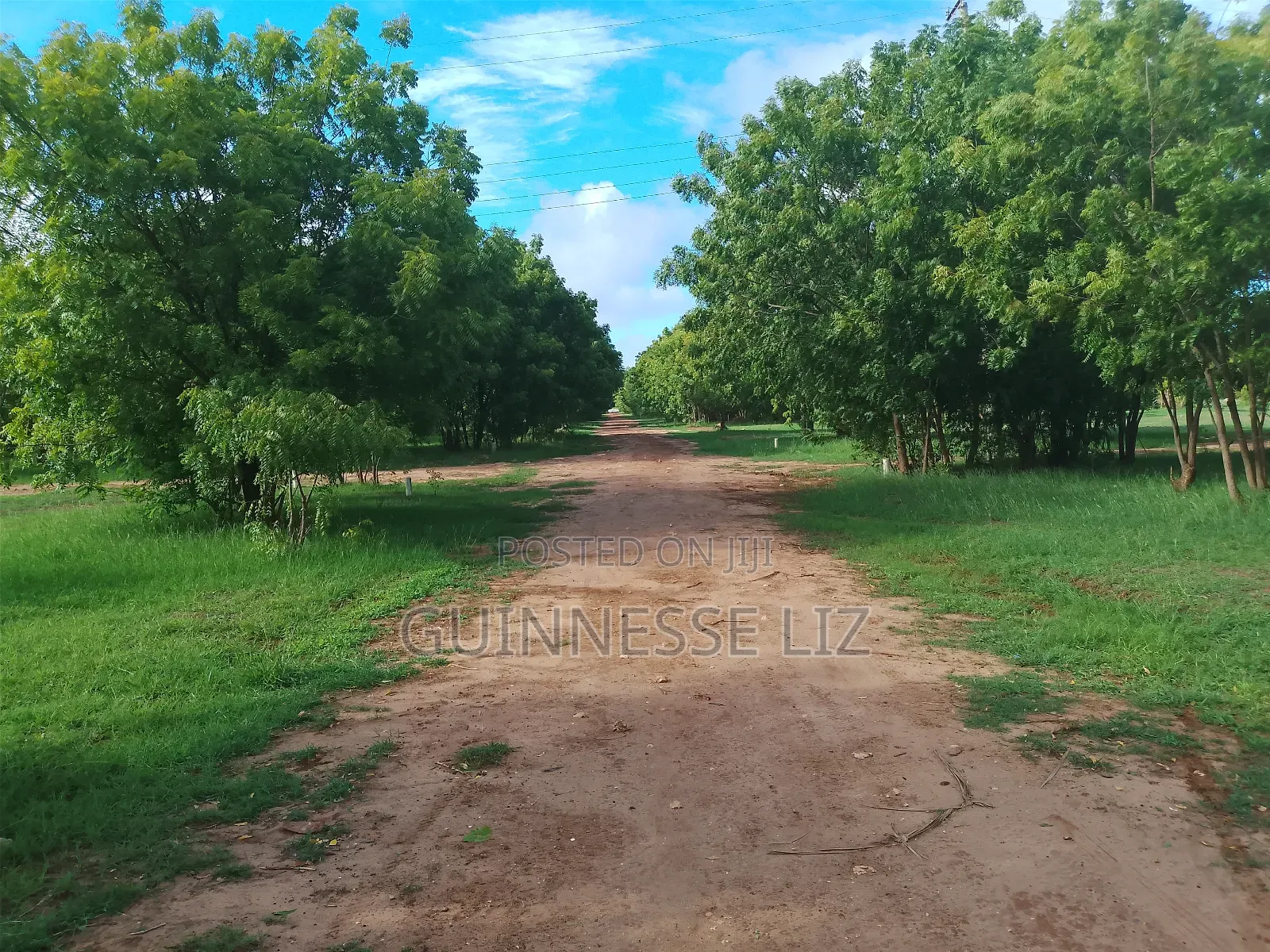 Kuruwitu Vipingo 5 Acres for Sale a Walk Beach