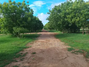Kuruwitu Vipingo 5 Acres for Sale a Walk Beach