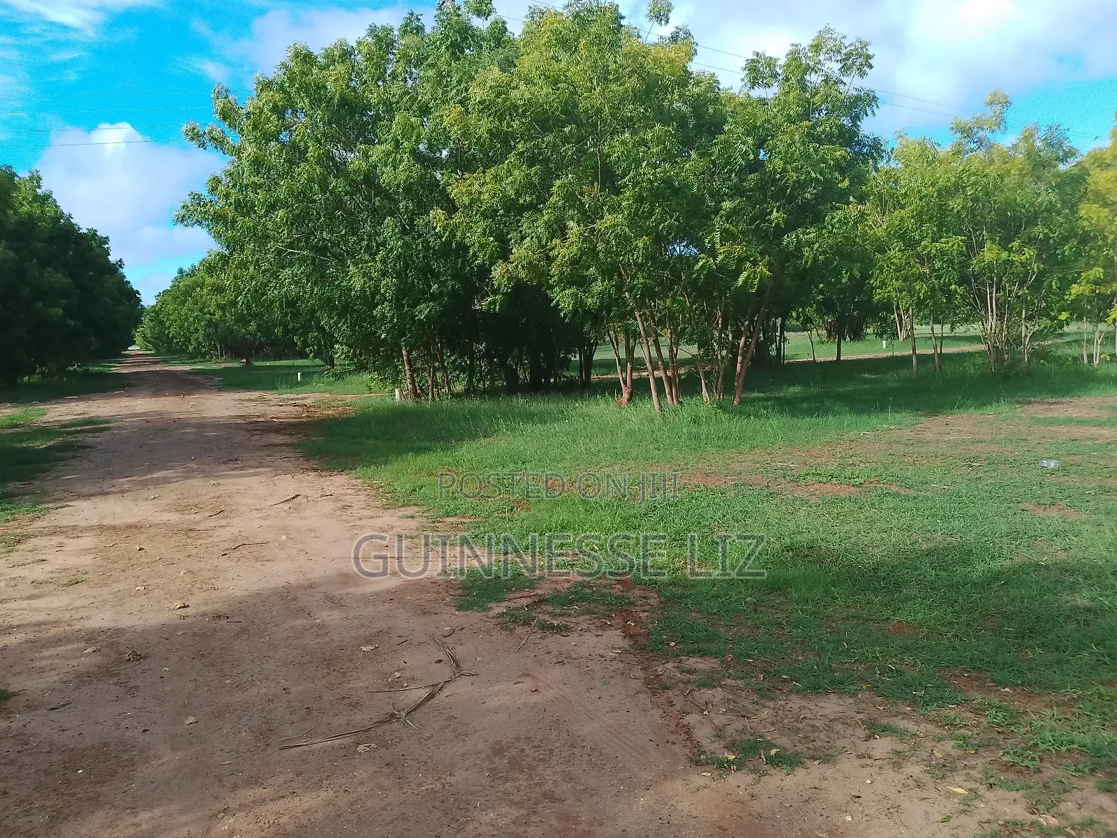 Kuruwitu Vipingo 5 Acres for Sale a Walk Beach