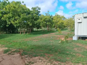 Kuruwitu Vipingo 5 Acres for Sale a Walk Beach