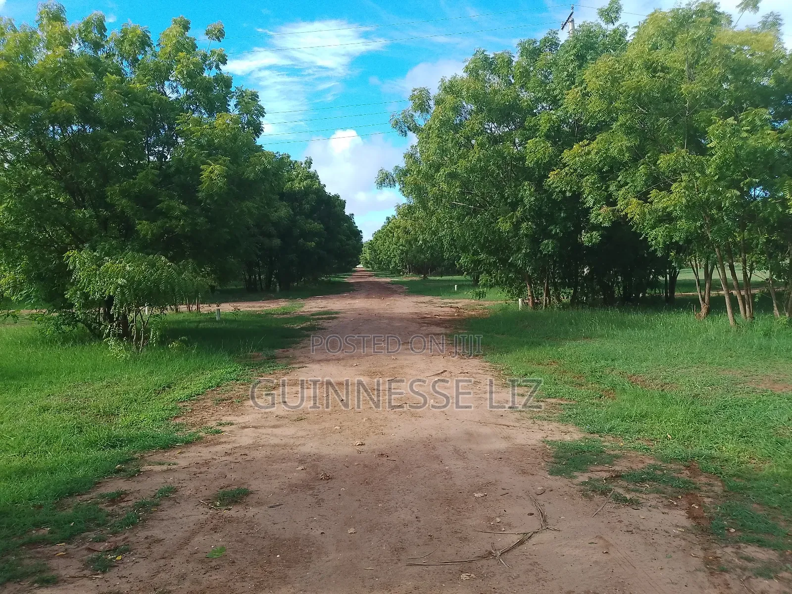 Kuruwitu Vipingo 5 Acres for Sale a Walk Beach