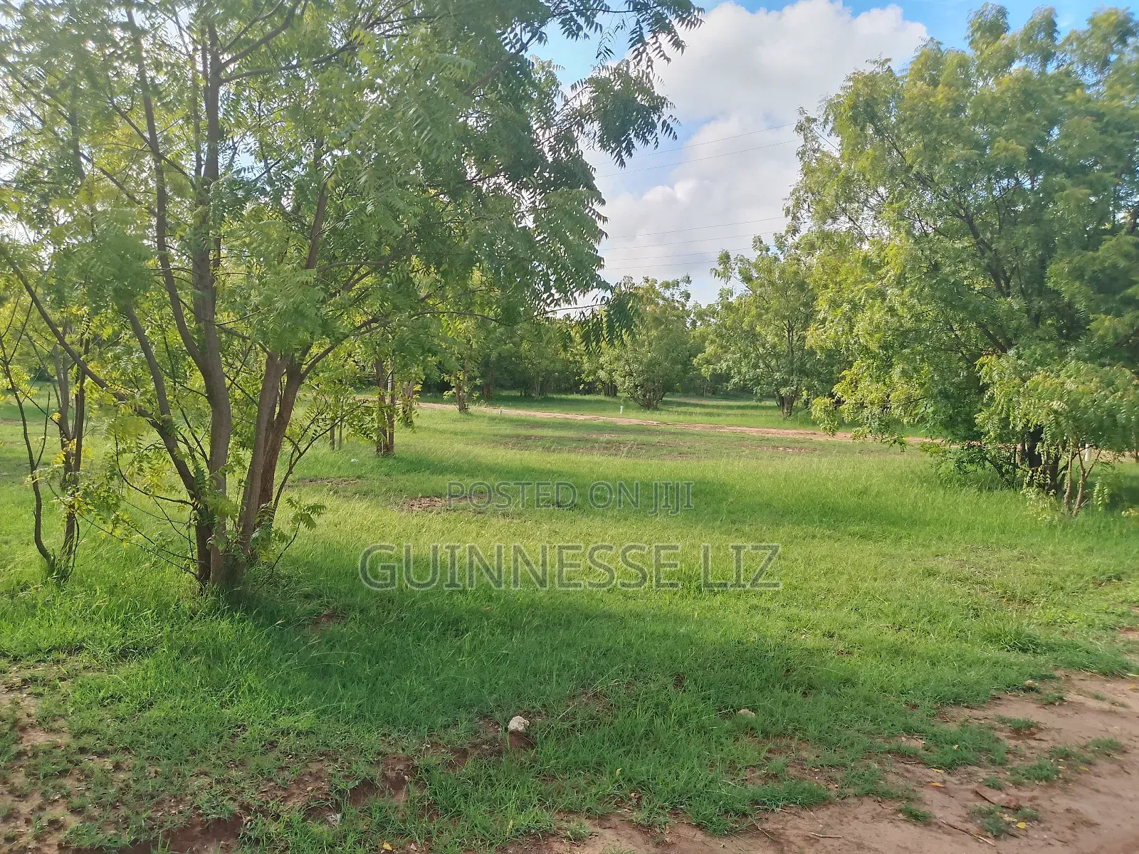 Kuruwitu Vipingo 5 Acres for Sale a Walk Beach