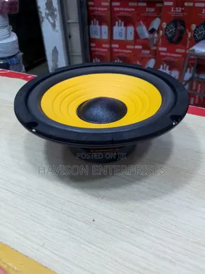 Quality 6.5' Speaker
