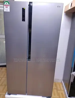 Double the Doors, Double the Convenience – Lg 519l Fridge
