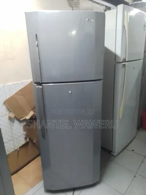 Neat Grey Lg Refrigerator Double Door Fridge