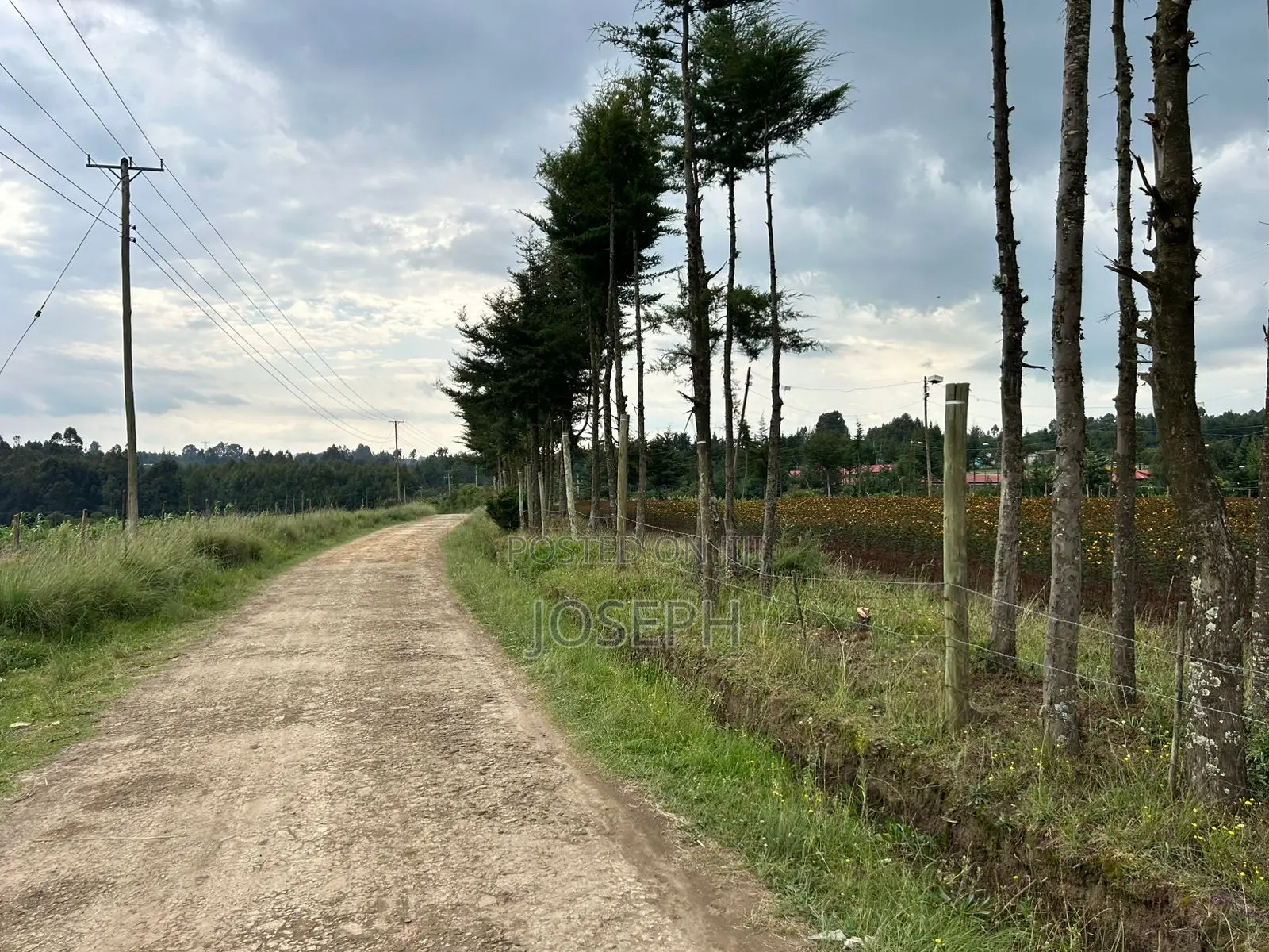 Murungaru River Frontge Farm With Borehole