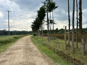 Murungaru River Frontge Farm With Borehole