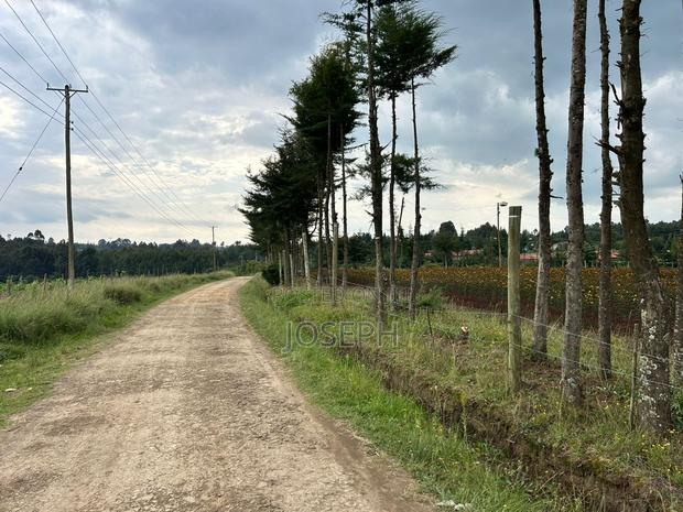 Murungaru River Frontge Farm With Borehole - thumbnail 3