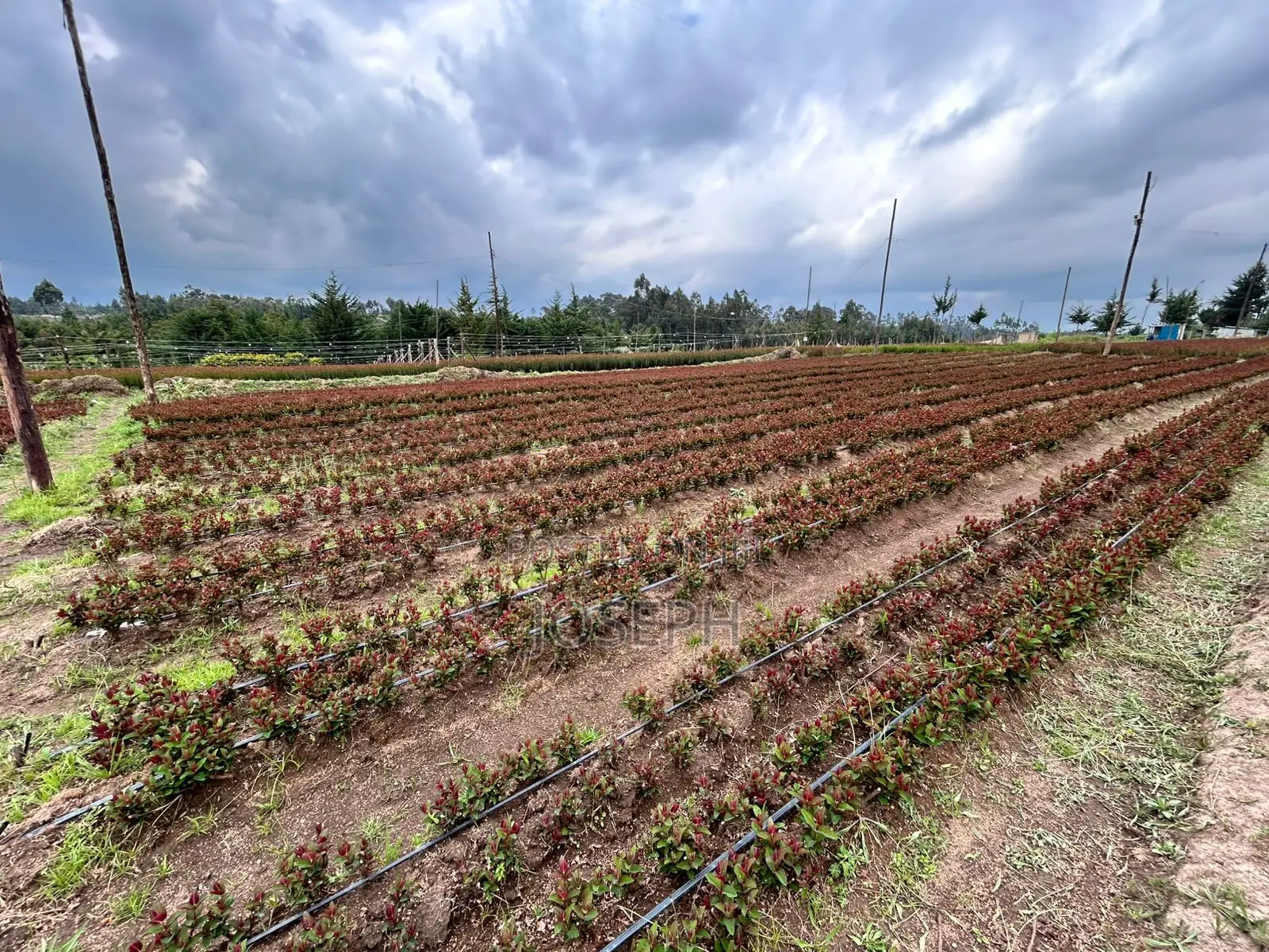 Murungaru River Frontge Farm With Borehole