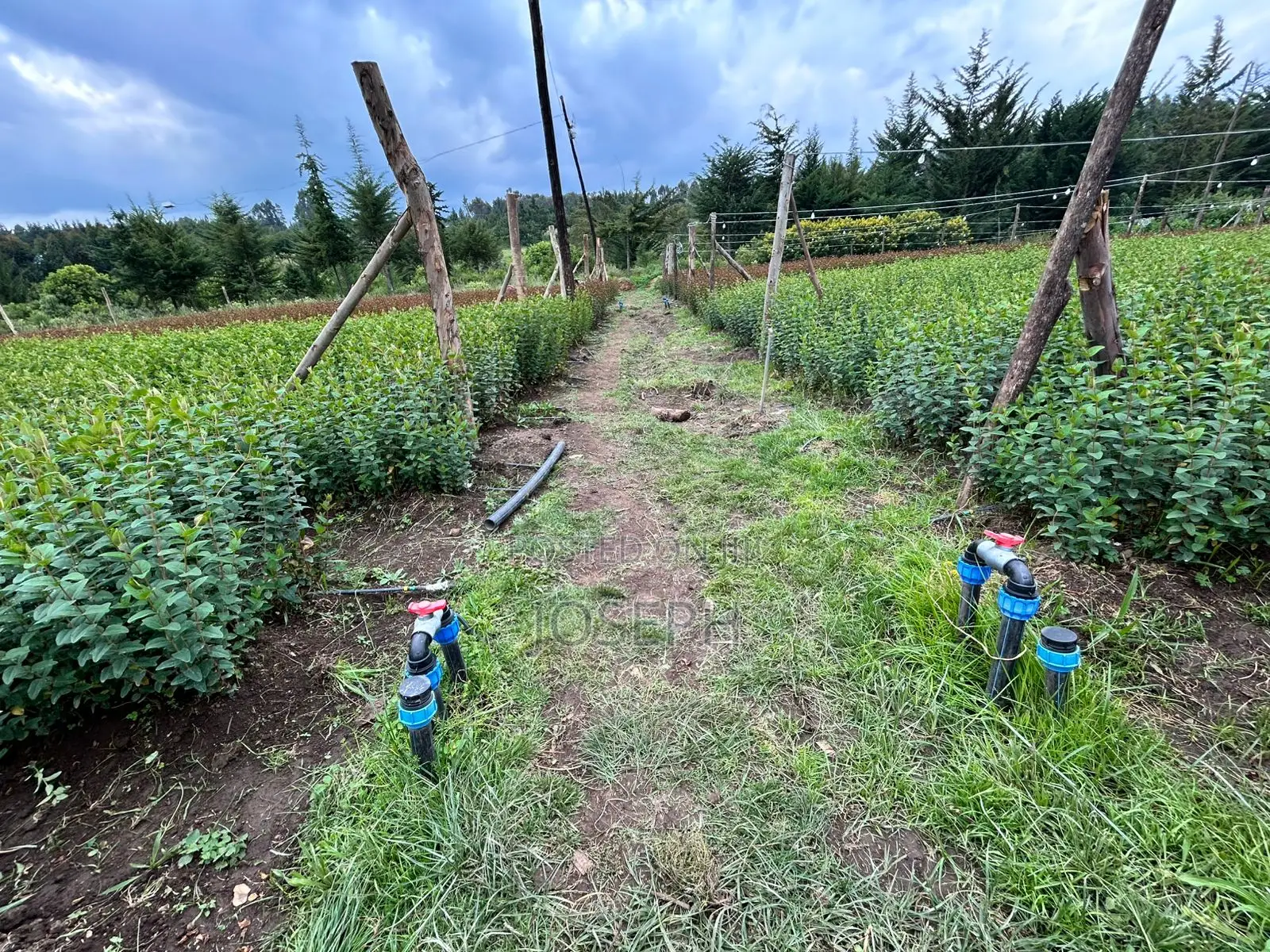 Murungaru River Frontge Farm With Borehole