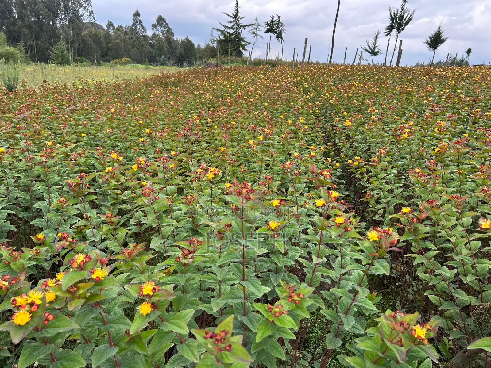 Murungaru River Frontge Farm With Borehole