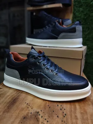 _Timberland Casuals in Stock Fully_