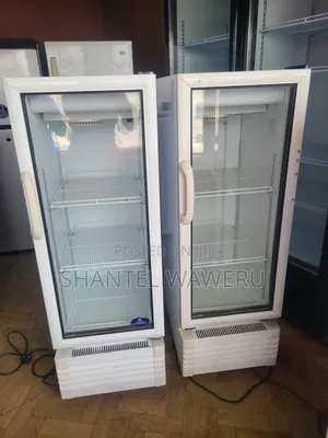 Intercool Display Refrigerator 200litres