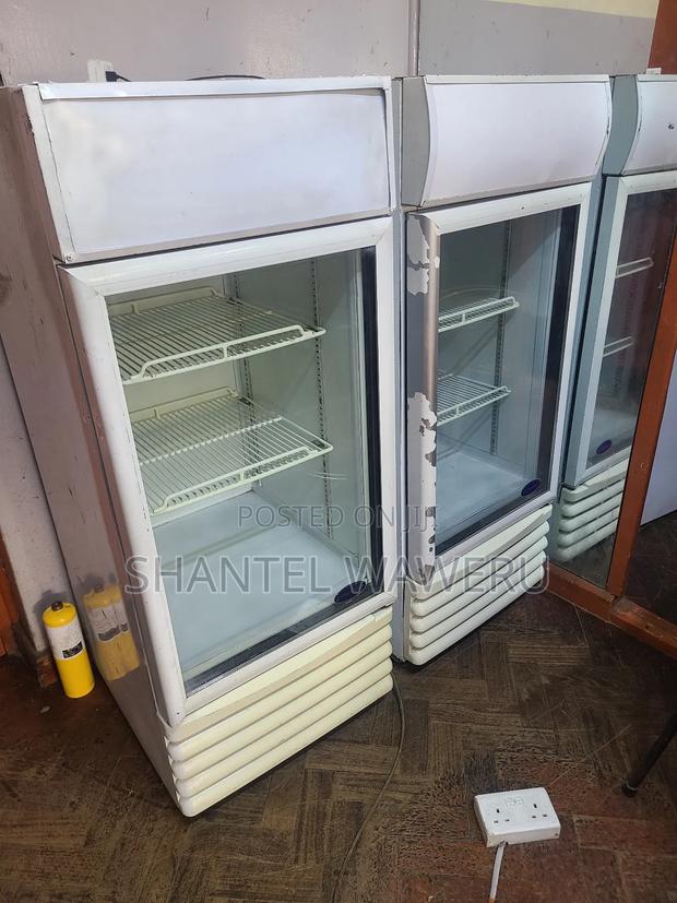Best Affordable Refrigerator/ Display Refrigerator - main view