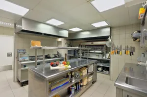 Stainless Steel Designs For Hotels, Clinics Food Factories