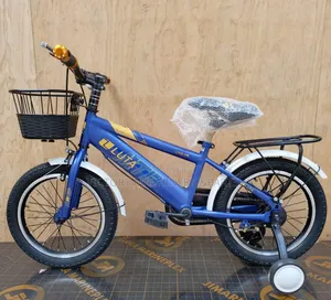 Luta Size 16 Bycicle