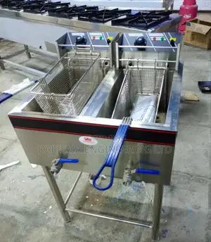 High Quality Caterina Double Fryer