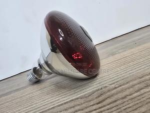 Infrared Chick Heaters - main view