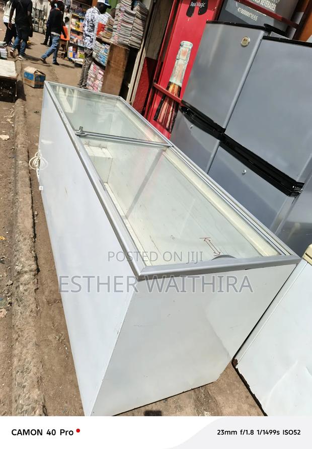 Unique Display Freezer 650 Litres