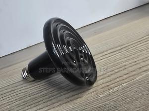 Ceramic Chick Heater - main view