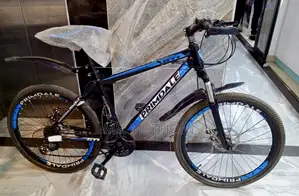 Primdale Blue Size 24 Bike