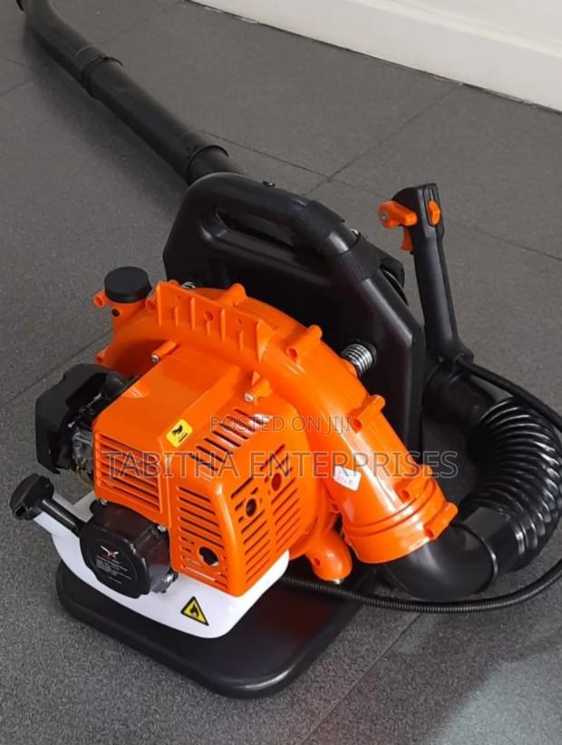 Petrol Leaf 🍃 Blower 2 Stroke - main view