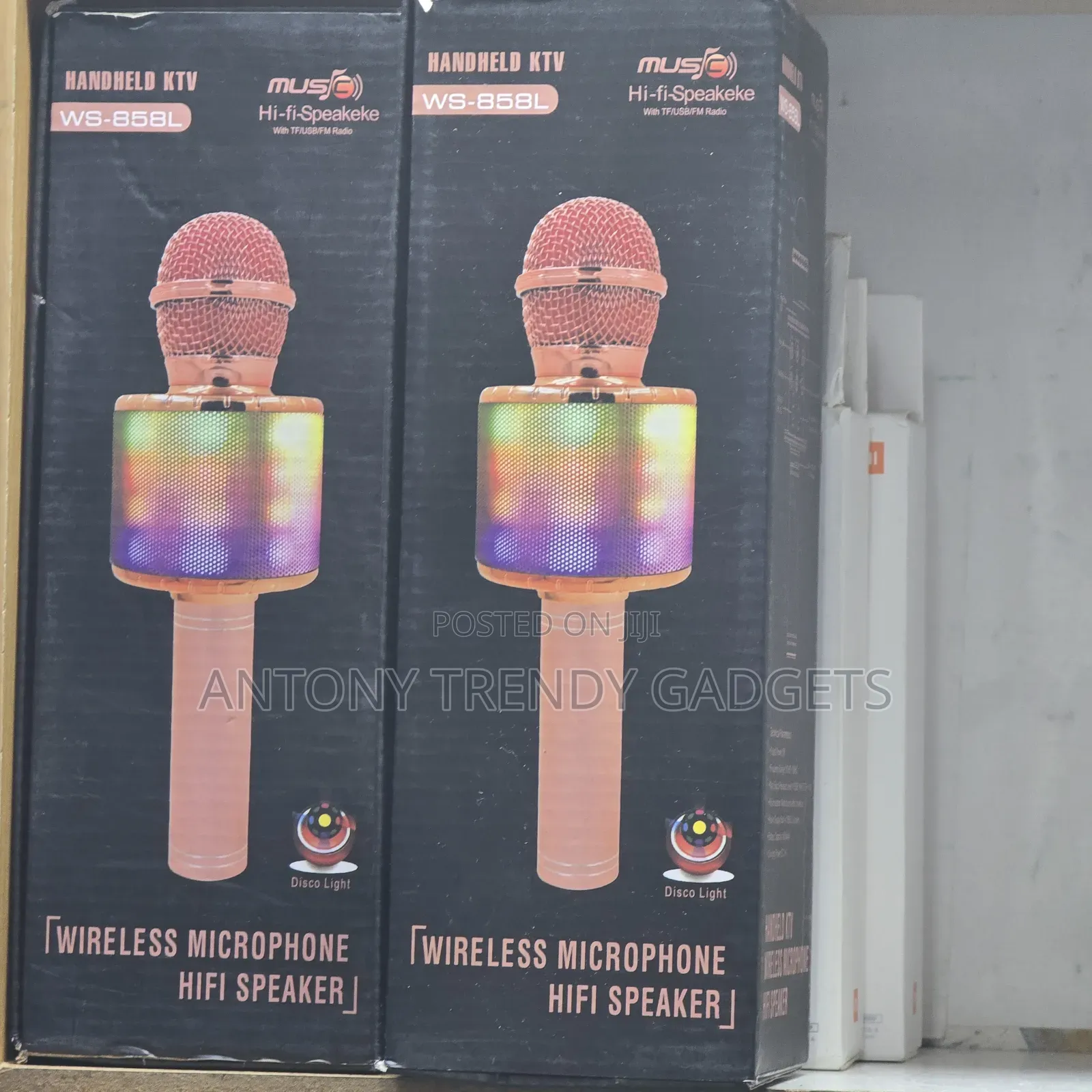 Karaoke Kids Microphones