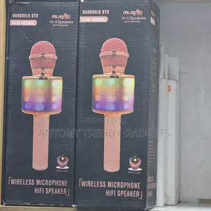 Karaoke Kids Microphones